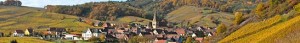 Niedermorschwihr miniature accueil