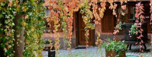 hôtel de l'Ange côté cours au printemps