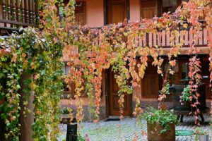 hôtel de l'Ange côté cours au printemps