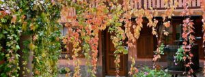 hôtel de l'Ange côté cours au printemps