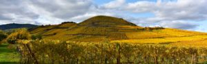Niedermorschwihr côté vignes et montagne